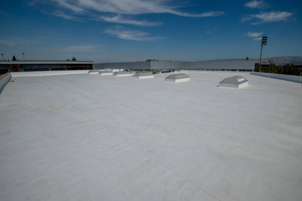 Hot Roofs